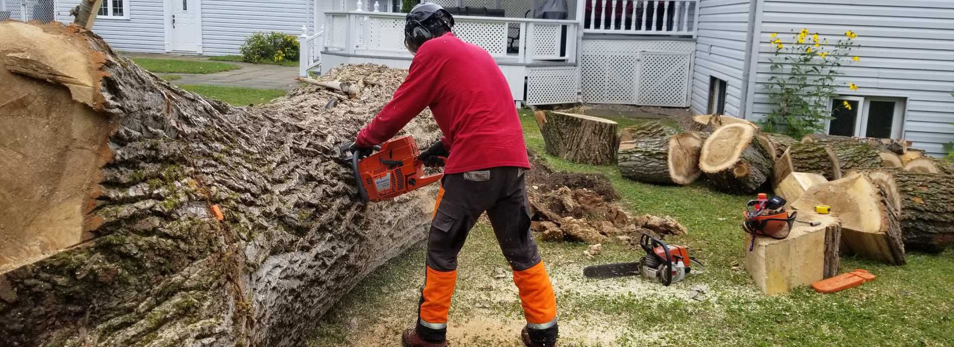 Faites appel à des arboriculteurs certifiés